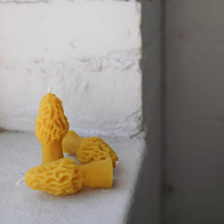 Morel Beeswax Candle